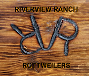 RIVERVIEW RANCH ROTTWEILERS – Rottweiler Puppies In Colorado